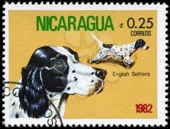 NICARAGUA - CIRCA 1982: A Stamp printed in NICARAGUA shows image of a English Setter from the series Dogs, circa 1982
