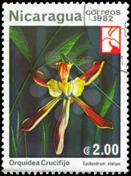NICARAGUA - CIRCA 1982: A Stamp printed in NICARAGUA shows image of a Epidendrum alatum, series, circa 1982