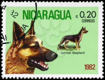 NICARAGUA - CIRCA 1982: A Stamp printed in NICARAGUA shows image of a German Shepherd from the series Dogs, circa 1982