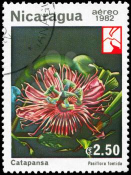 NICARAGUA - CIRCA 1982: A Stamp printed in NICARAGUA shows image of a Passiflora foetida, series, circa 1982