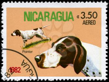 NICARAGUA - CIRCA 1982: A Stamp printed in NICARAGUA shows image of a Pointer from the series Dogs, circa 1982