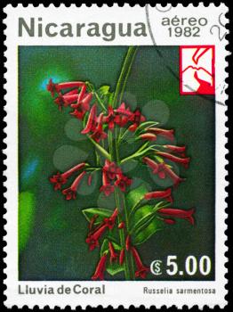 NICARAGUA - CIRCA 1982: A Stamp printed in NICARAGUA shows image of a Russelia sarmentosa, series, circa 1982