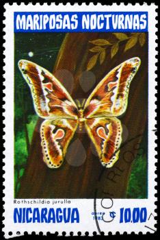 NICARAGUA - CIRCA 1983: A Stamp printed in NICARAGUA shows image of a Moth with the inscription Rothschildia jurulla from the series Nocturnal Moths, circa 1983