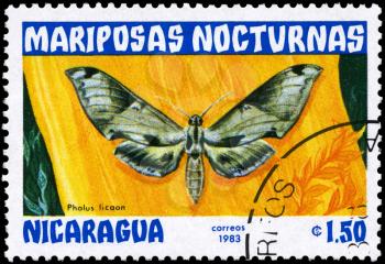 NICARAGUA - CIRCA 1983: A Stamp printed in NICARAGUA shows image of a Moth with the inscription Pholus licaon from the series Nocturnal Moths, circa 1983