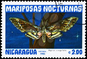 NICARAGUA - CIRCA 1983: A Stamp printed in NICARAGUA shows image of a Moth with the inscription Agrius cingulata from the series Nocturnal Moths, circa 1983