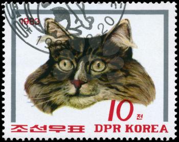 NORTH KOREA - CIRCA 1983: A Stamp printed in NORTH KOREA shows image of a Cat from the series Cats, circa 1983