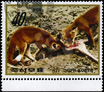 NORTH KOREA - CIRCA 1984: A Stamp printed in NORTH KOREA shows image of a Foxes with prey from the series Wild Animals, circa 1984