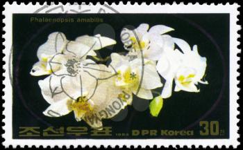 NORTH KOREA - CIRCA 1984: A Stamp printed in NORTH KOREA shows image of a Phalaenopsis amabilis, from the series Flowers, circa 1984