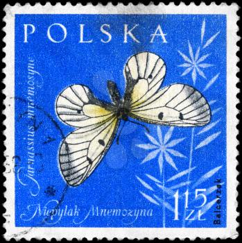 POLAND - CIRCA 1961: A Stamp printed in POLAND shows image of a Black Apollo Butterfly with the inscription Parnassius mnemosyne from the series Insects, circa 1961