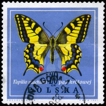 POLAND - CIRCA 1967: A Stamp printed in POLAND shows image of a Swallowtail with the description Papilio machaon from the series Various Butterflies, circa 1967