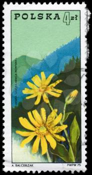 POLAND - CIRCA 1975: A Stamp printed in POLAND shows the Arnica and  Beskids Mountains, series, circa 1975