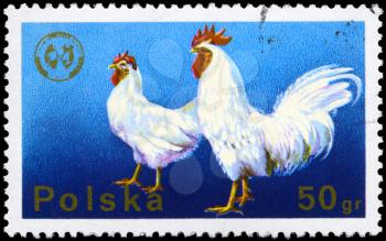 POLAND - CIRCA 1975: A Stamp shows image of a Cock and Hen from the series Congress Emblem, circa 1975