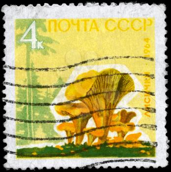 USSR - circa 1964: A Stamp printed in USSR shows the Chanterelle, from the series Mushrooms, circa 1964