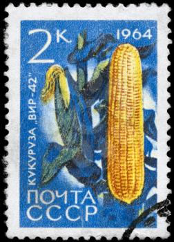 USSR - CIRCA 1964: A Stamp printed in USSR shows image of a Corn, series, circa 1964