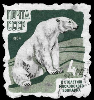 USSR - CIRCA 1964: A Stamp printed in USSR shows image of a Polar Bear from the series 100th anniv. of the Moscow zoo, circa 1964