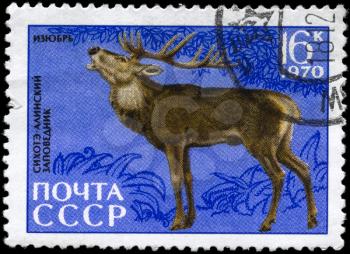 USSR - CIRCA 1970: A Stamp printed in USSR shows image of a Red Deer from the series Animals from the Sikhote-Alin Reserve, circa 1970