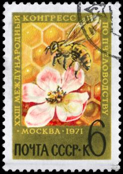 USSR - CIRCA 1971: A Stamp printed in USSR shows the Bee and Blossom, devoted to the 23rd International Beekeeping Congress, Moscow, circa 1971