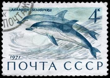 USSR - CIRCA 1971: A Stamp printed in USSR shows image of a Common Dolphin from the series Sea Mammals, circa 1971