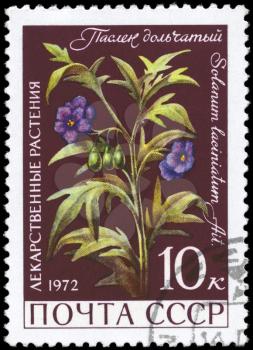USSR - CIRCA 1972: A Stamp printed in USSR shows the Nightshade, with the description Solanum laciniatum, from the series Medicinal Plants, circa 1972