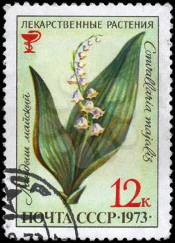 USSR - CIRCA 1973: A Stamp printed in USSR shows the Lily of the Valley, with the description Convallaria majalis, from the series Medicinal Plants, circa 1973