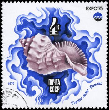 USSR - CIRCA 1975: A Stamp printed in USSR shows image of a Salt-water Shell, Black Sea from the series Oceanexpo 75 Emblem, circa 1975

