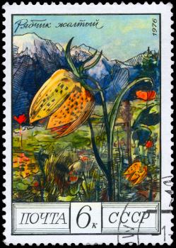 USSR - CIRCA 1976: A Stamp shows image of a Yellow Fritillary with the designation Fritillaria collina, series, circa 1976