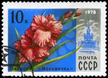 USSR - CIRCA 1978: A Stamp printed in USSR shows the Gladiolus
Muscovite and VDNH Building, from the series Moscow Flowers, circa 1978