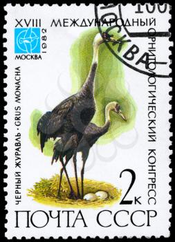 USSR - CIRCA 1982: A Stamp printed in USSR shows image of a Hooded Cranes with the inscription Grus monacha from the series Rare Birds devoted 18th Ornithological Cong., Moscow, circa 1982
