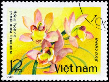 VIETNAM - CIRCA 1979: A Stamp shows image of a Cymbidium with the inscription Cymbi Dium Hybridum, from the series Orchids, circa 1979