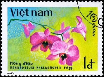 VIETNAM - CIRCA 1979: A Stamp shows image of a Dendrobium with the inscription Dendrobium Phalaenopsis, from the series Orchids, circa 1979