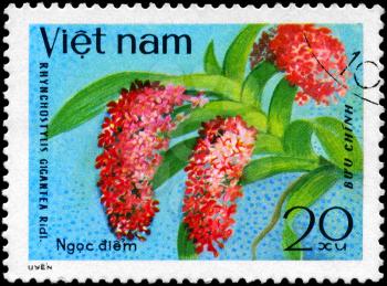 VIETNAM - CIRCA 1979: A Stamp shows image of a Rhynchostylis also commonly called Foxtail with the inscription Rhynchostylis Gigantea Ridl., from the series Orchids, circa 1979