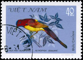 VIETNAM - CIRCA 1981: A Stamp shows image of a Bird with the inscription Aethopyga gouldiae from the series Nectar-sucking Birds, circa 1981