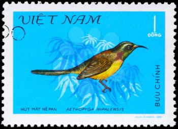 VIETNAM - CIRCA 1981: A Stamp shows image of a Bird with the inscription Aethopyga nipalensis from the series Nectar-sucking Birds, circa 1981