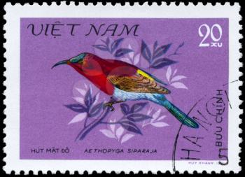 VIETNAM - CIRCA 1981: A Stamp shows image of a Bird with the inscription Aethopyga siparaja from the series Nectar-sucking Birds, circa 1981