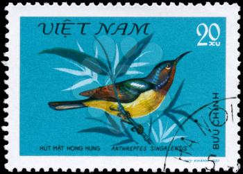 VIETNAM - CIRCA 1981: A Stamp shows image of a Bird with the inscription Anthreptes singalensis from the series Nectar-sucking Birds, circa 1981