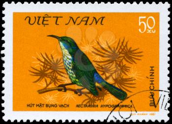 VIETNAM - CIRCA 1981: A Stamp shows image of a Bird with the inscription Nectarinia hypogrammica from the series Nectar-sucking Birds, circa 1981