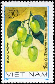 VIETNAM - CIRCA 1981: A Stamp printed in VIETNAM shows the  Ziziphus Ziziphus mauritiana, from the series Fruit, circa 1981
