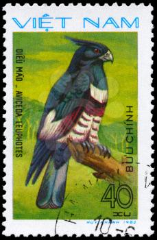 VIETNAM - CIRCA 1982: A Stamp shows image of a Black Baza with the inscription Aviceda leuphotes from the series Birds of prey, circa 1982