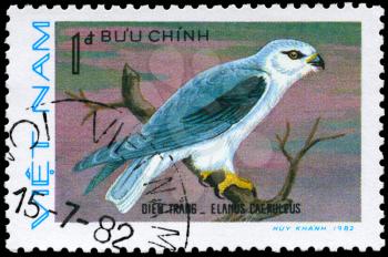 VIETNAM - CIRCA 1982: A Stamp shows image of a Black-winged Kite with the inscription Elanus caeruleus from the series Birds of prey, circa 1982