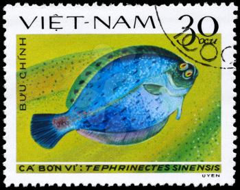 VIETNAM - CIRCA 1982: A Stamp printed in VIETNAM shows image of a Flounder with the inscription Tephrinectes sinensis from the series Fish, circa 1982