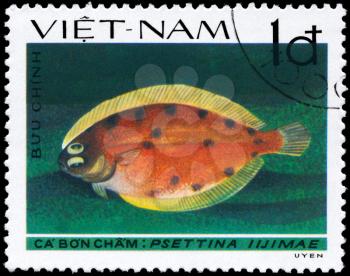 VIETNAM - CIRCA 1982: A Stamp printed in VIETNAM shows image of a Lefteye Flounder with the inscription Psettina iijimae from the series Fish, circa 1982