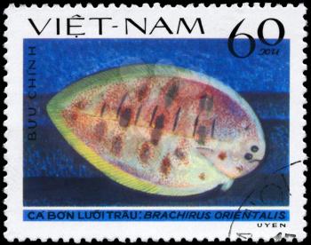 VIETNAM - CIRCA 1982: A Stamp printed in VIETNAM shows image of a Oriental Sole with the inscription Brachirus orientalis from the series Fish, circa 1982