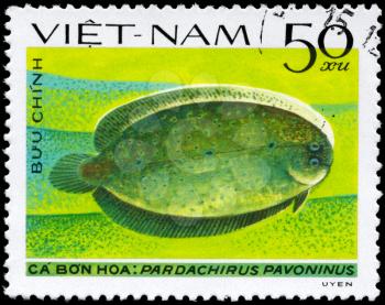 VIETNAM - CIRCA 1982: A Stamp printed in VIETNAM shows image of a Peacock Sole with the inscription Pardachirus pavoninus from the series Fish, circa 1982