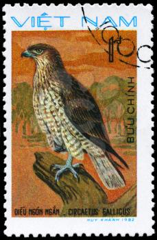 VIETNAM - CIRCA 1982: A Stamp shows image of a Short-toed Eagle with the inscription Circaetus gallicus from the series Birds of prey, circa 1982