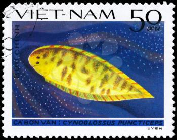 VIETNAM - CIRCA 1982: A Stamp printed in VIETNAM shows image of a Tonguefish with the inscription Cynoglossus puncticeps from the series Fish, circa 1982