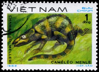 VIETNAM - CIRCA 1983: A Stamp printed in VIETNAM shows the image of a Meller's Chameleon with the description Chamaeleo melleri from the series Reptiles, circa 1983