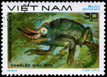 VIETNAM - CIRCA 1983: A Stamp printed in VIETNAM shows the image of a Jackson's Chameleon with the description Chamaeleo jackson from the series Reptiles, circa 1983
