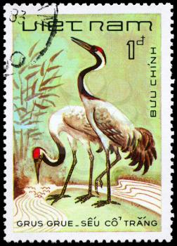VIETNAM - CIRCA 1983: A Stamp shows image of a Cranes with the inscription Grus grus from the series Water Birds, circa 1983