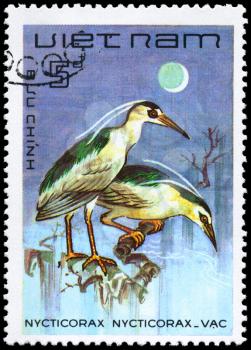 VIETNAM - CIRCA 1983: A Stamp shows image of a Black-crowned Night Heron with the inscription Nycticorax nycticorax from the series Water Birds, circa 1983