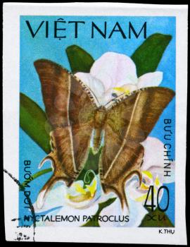 VIETNAM - CIRCA 1983: A Stamp printed in VIETNAM shows image of a Butterfly with the description Nyctalemon patroclus, series, circa 1983